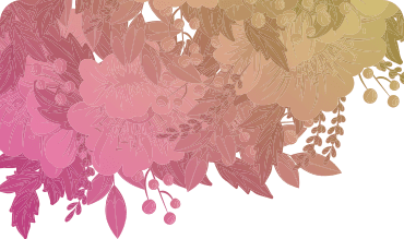 pricing 5 2 bg |